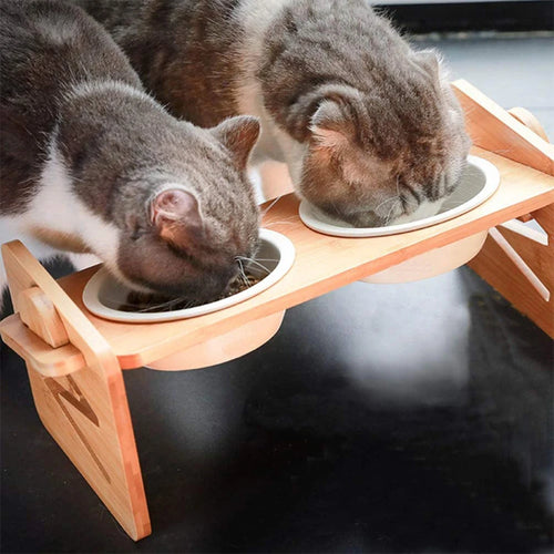 Two cats eating from an adjustable bamboo pet feeder with two ceramic bowls on a black surface