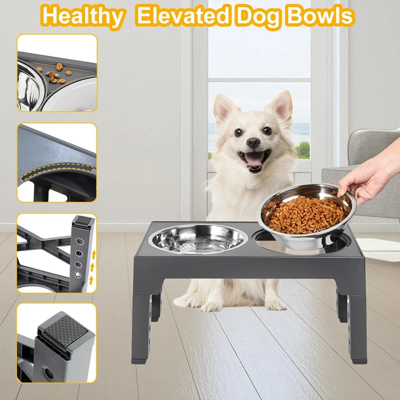 Adjustable elevated dog feeder with stainless steel bowls and height settings beside a happy white dog