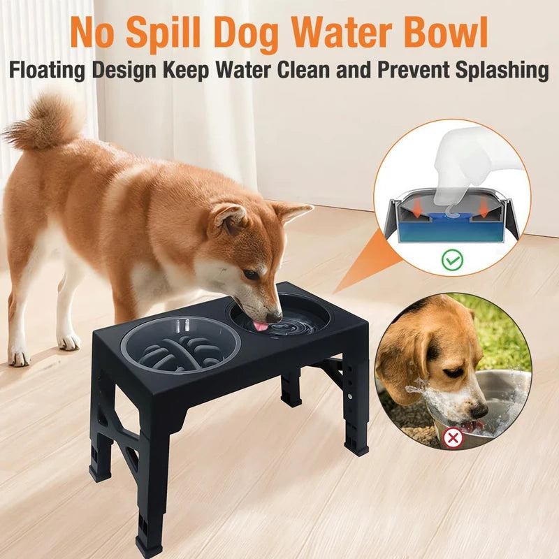 Paw Care USA adjustable elevated dog feeder with no spill water bowl and floating design