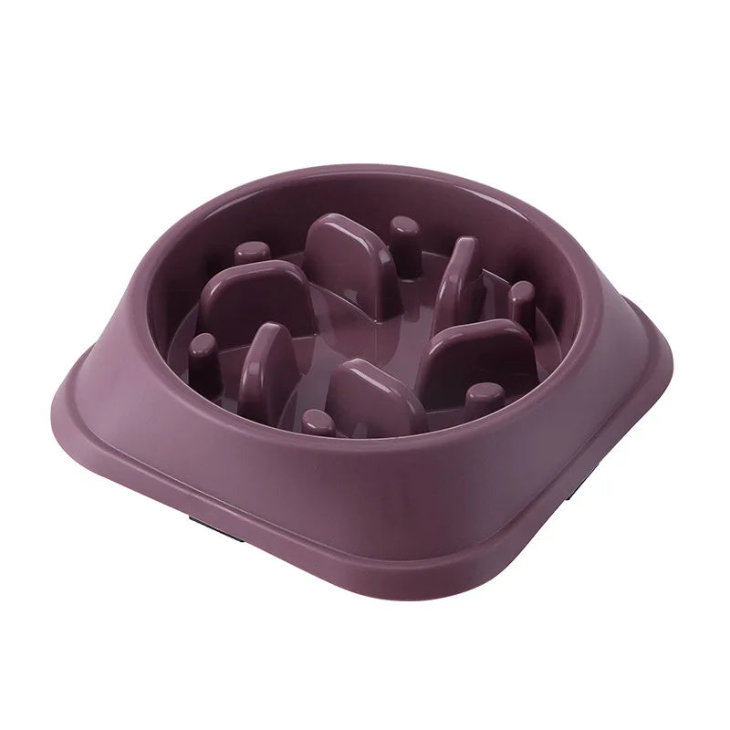 Paw Care USA anti-choking pet feeder bowl multiple colors in purple slow feeding design