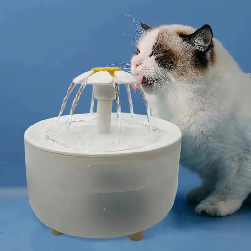 Cat drinking from automatic pet water fountain with flower-shaped water spouts by Paw Care USA