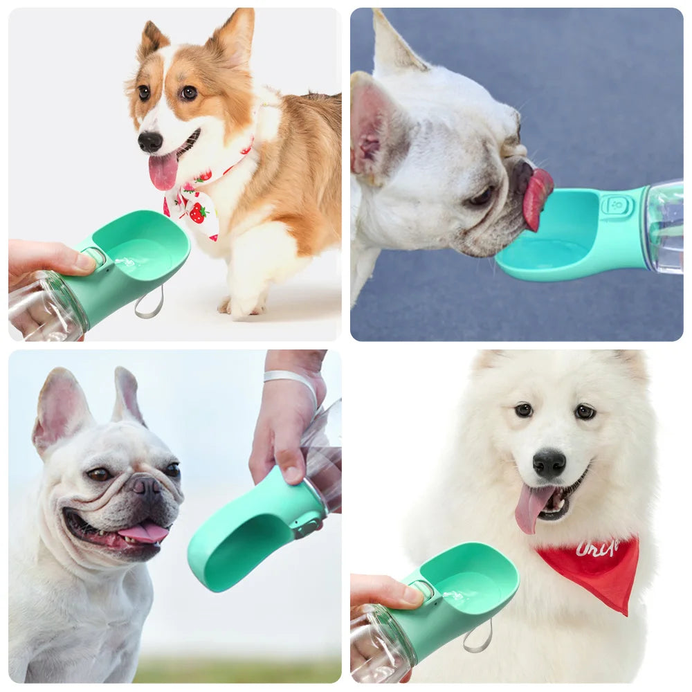 Paw Care USA dog and cat travel water dispenser being used to hydrate different dog breeds outdoors