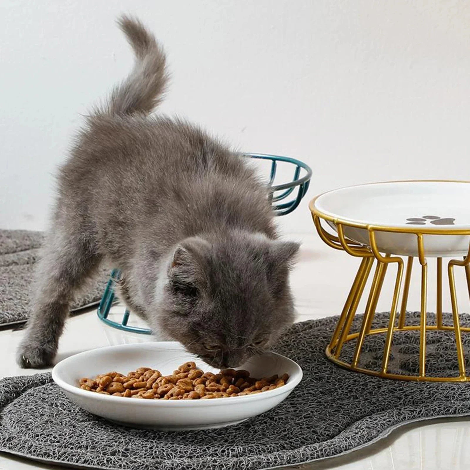Gray kitten eating from elevated cat & Small Dogs feeder for healthy digestion by Paw Care USA