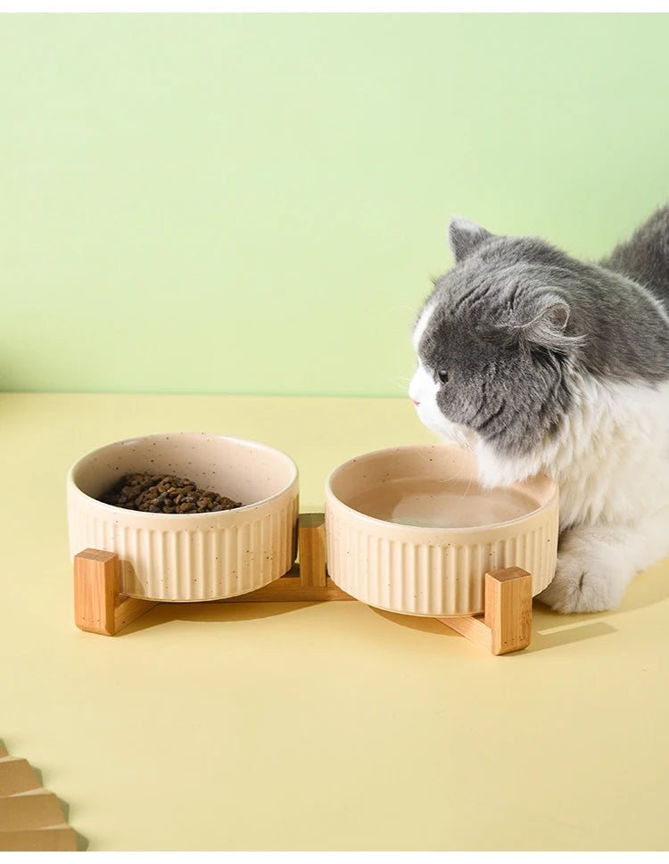 Premium ceramic pet food and water bowls in beige with wooden stand and gray white cat drinking water