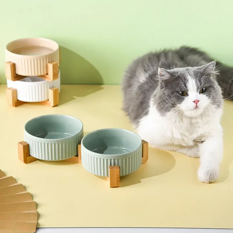 Paw Care USA premium ceramic pet food and water bowls with wooden stands next to a gray and white cat