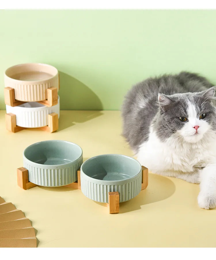Premium ceramic pet food and water bowls with wooden stands next to a gray and white cat