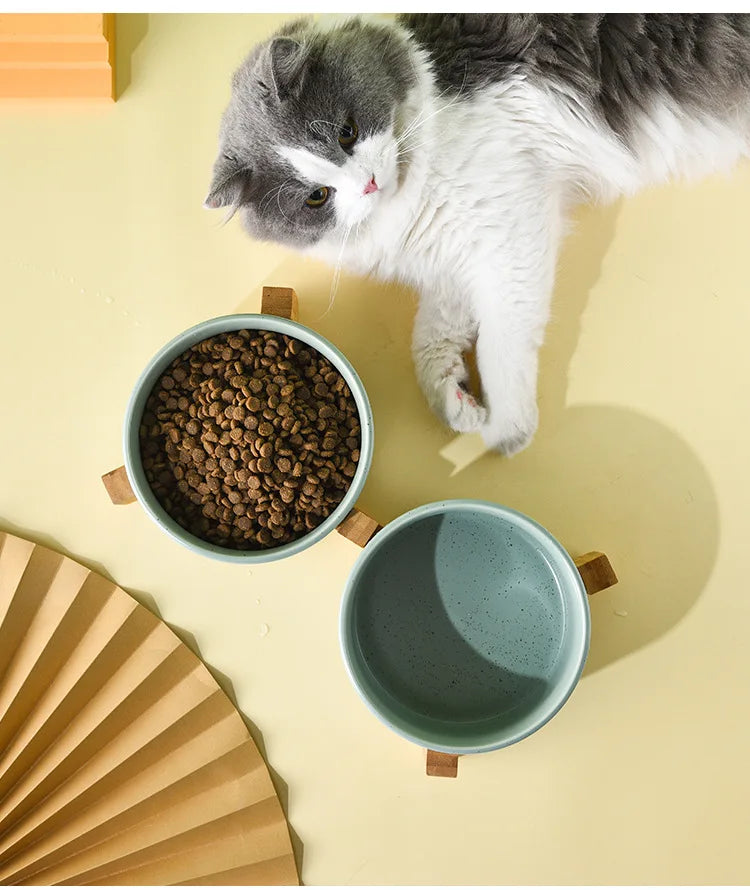 Grey and white cat near blue premium ceramic pet food and water bowls with wooden stands on yellow surface