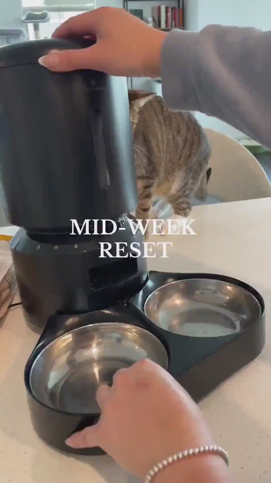Cat Automatic Pet Feeder with Wifi