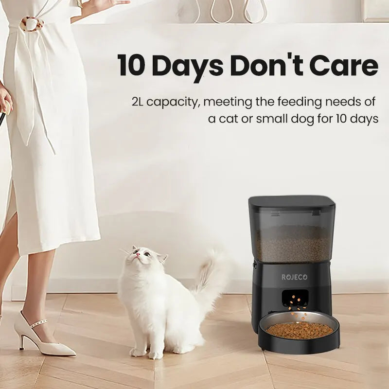 Best automatic food dispenser for pets USA with 2L capacity feeding cats or small dogs for 10 days