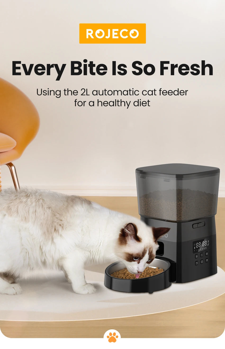 Best automatic food dispenser for pets USA with 2L capacity feeding a cat for a healthy diet
