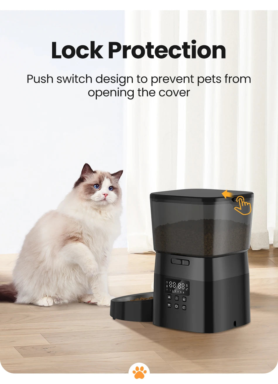 Best automatic food dispenser for pets USA with lock protection and digital display near a white and brown cat